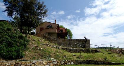 Lovely Holiday Home in Panzano With Swimming Pool