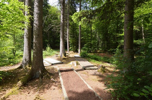 Stay With Garden in the Hunsruck