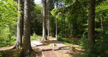 Stay With Garden in the Hunsruck