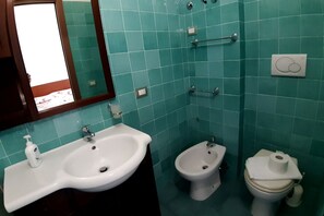 Shower, hair dryer, bidet, towels
