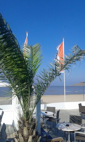 Outdoor dining - Zaras Studio Apollo (Zandvoort)