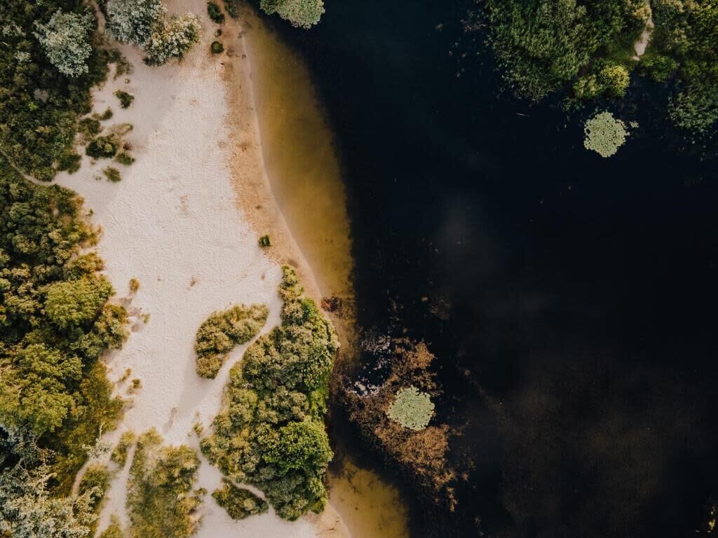 Vista aérea de una playa con abundante vegetación y una orilla arenosa.