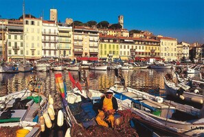 Stunning harbor views of a lively maritime environment with traditional architecture and bustling city life.