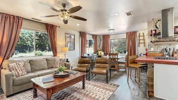 TV, fireplace, books