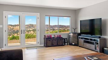 Smart TV, DVD player, video library