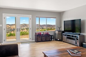 スマートテレビ、DVD プレーヤー、ビデオライブラリ