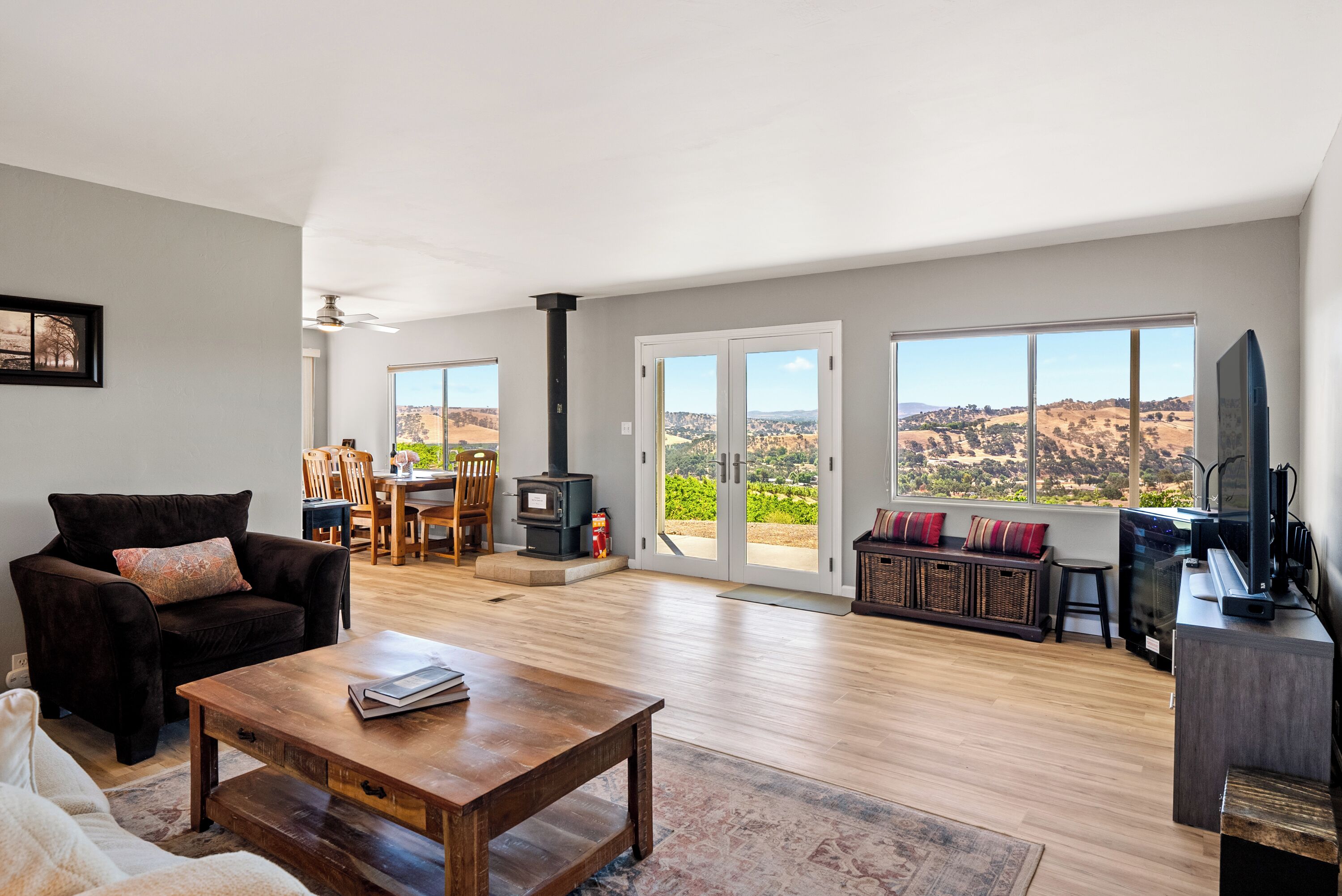 Smart TV, DVD player, video library