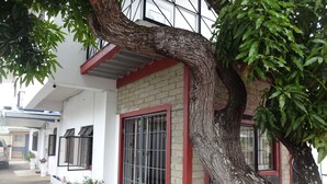 A building with a brick facade, metal gates, and a large tree in front. - Secret Haven TnT (Port of Spain)