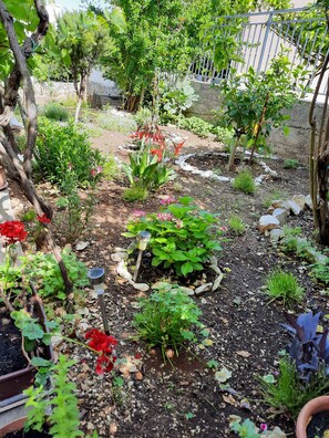 Property grounds - Apartman 2+2 , Okrug Gornji, jedini apartman u kuci, parking, klima, wifi (Okrug Gornji)