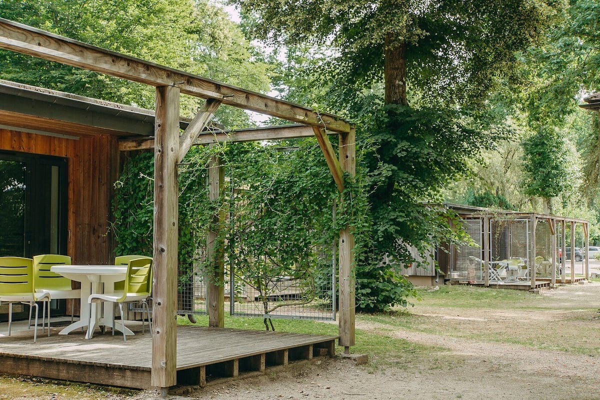 A wooden pergola with a table and chairs, surrounded by greenery.