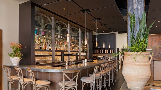 A bar area with a long counter, multiple stools, and a large potted plant. - HOTEL CERRO, Autograph Collection (San Luis Obispo)