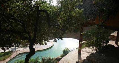 Surfingbirds Suite and other rooms with a view