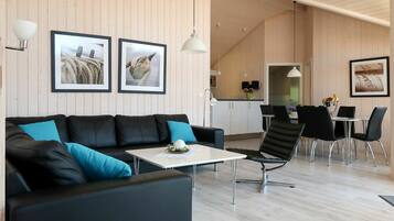 Fernseher, Kamin, DVD-Player