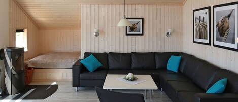 تلفزيون، مدفأة، مشغل دي في دي