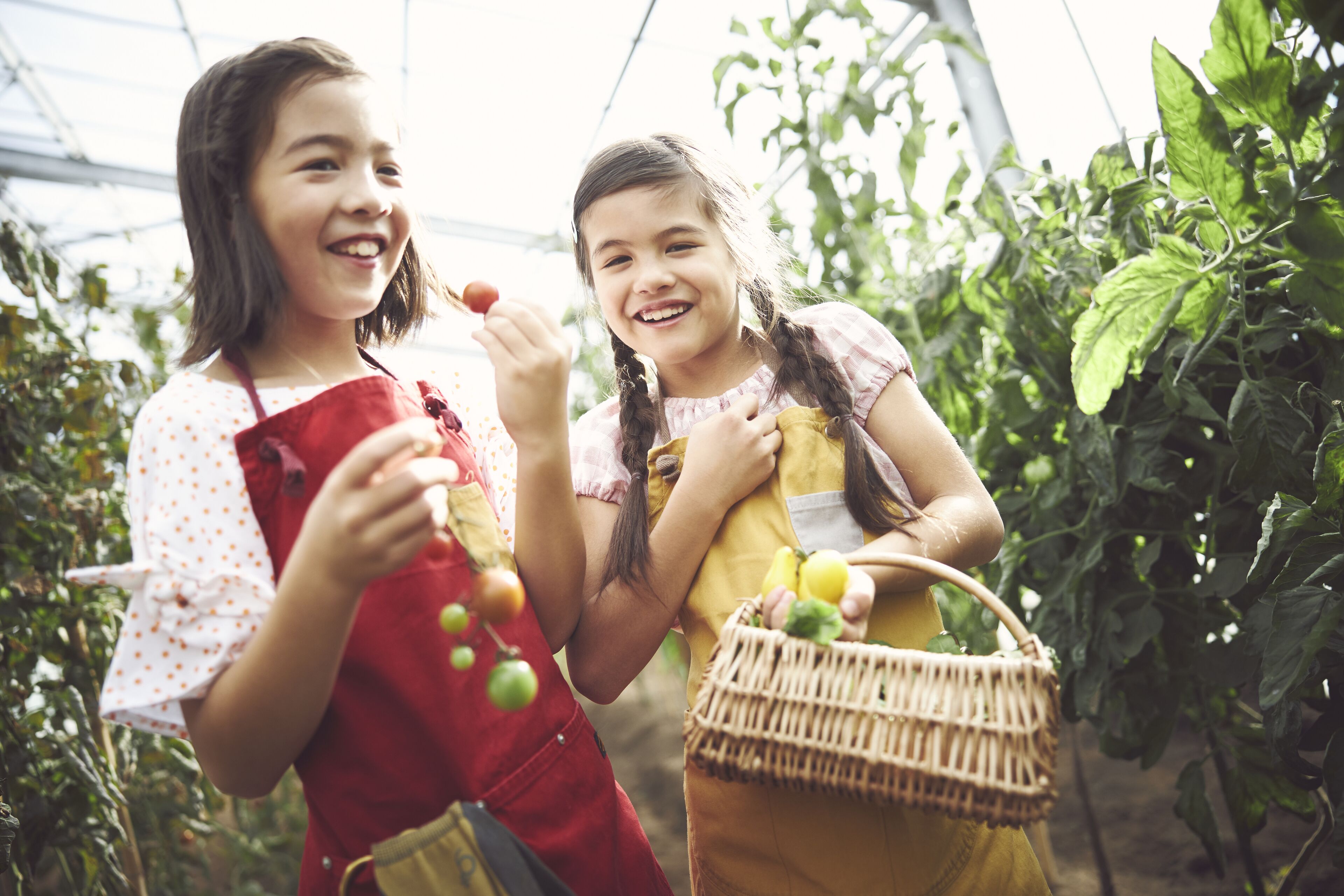 Two children in a greenhouse holding fruits and a basket.