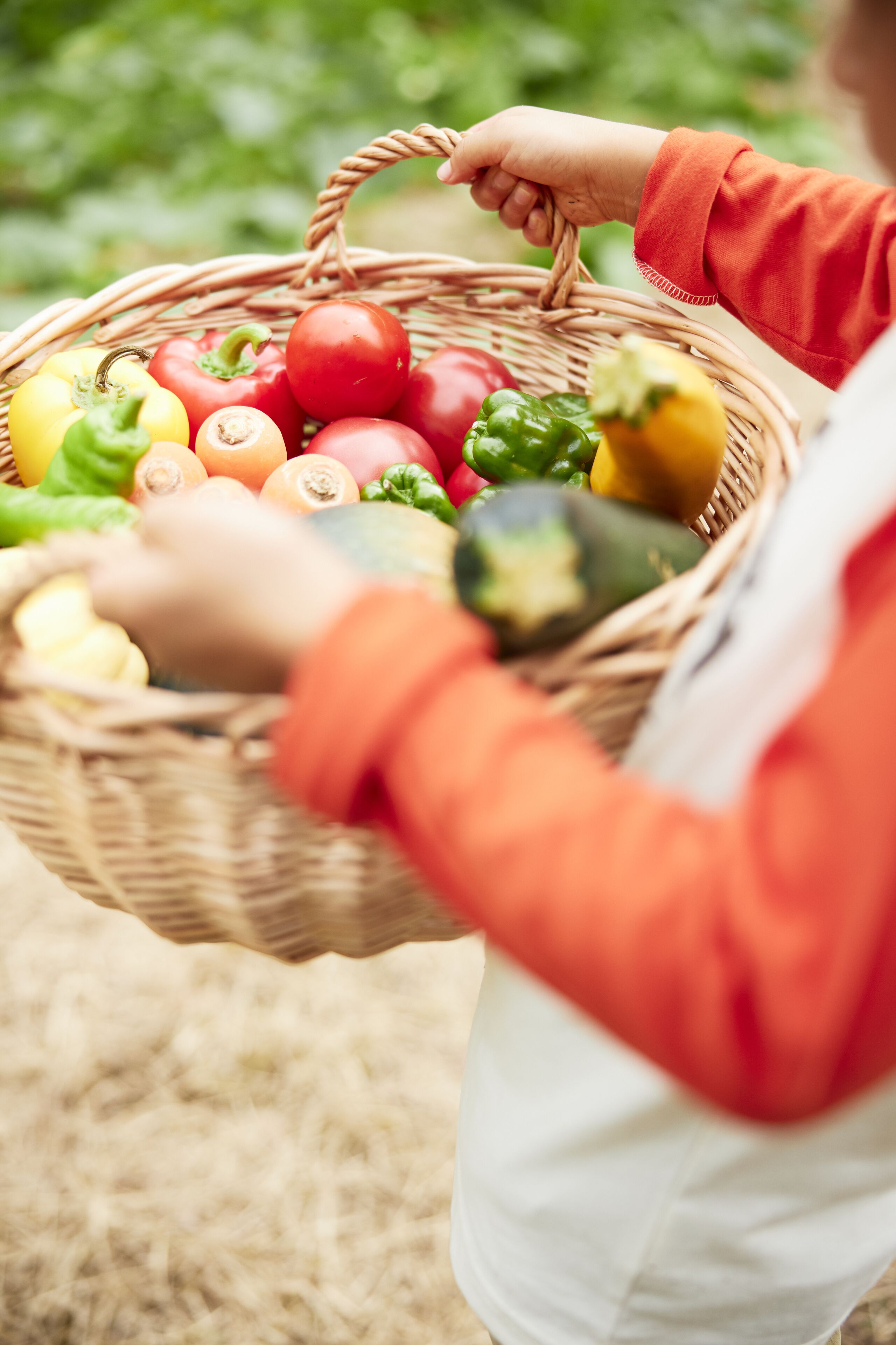 Una persona sosteniendo una cesta de mimbre llena de diversas verduras.