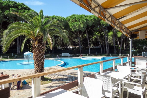 L'Eau, Propriété, Piscine, Plante, Ciel, Bleu Azur, Arbre, Mobilier De Jardin, Balancelle, Arecales