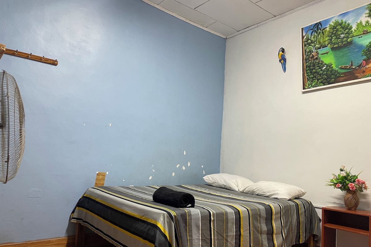 Un dormitorio con una cama, suelo de madera, ventilador de pared y un cuadro.