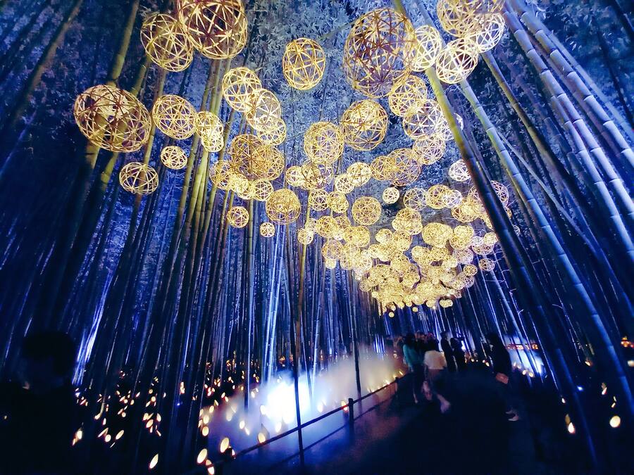 Un lieu dont le plafond est orné de structures sphériques et de faisceaux de lumière verticaux.