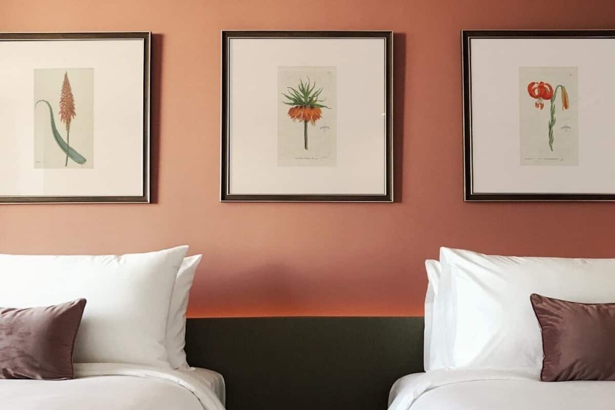 Ropa de cama de alta calidad y edredones de plumas