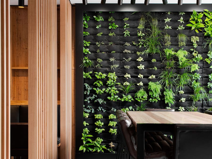 Breakfast and dinner served