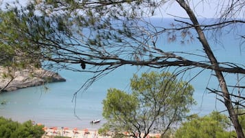 Playa