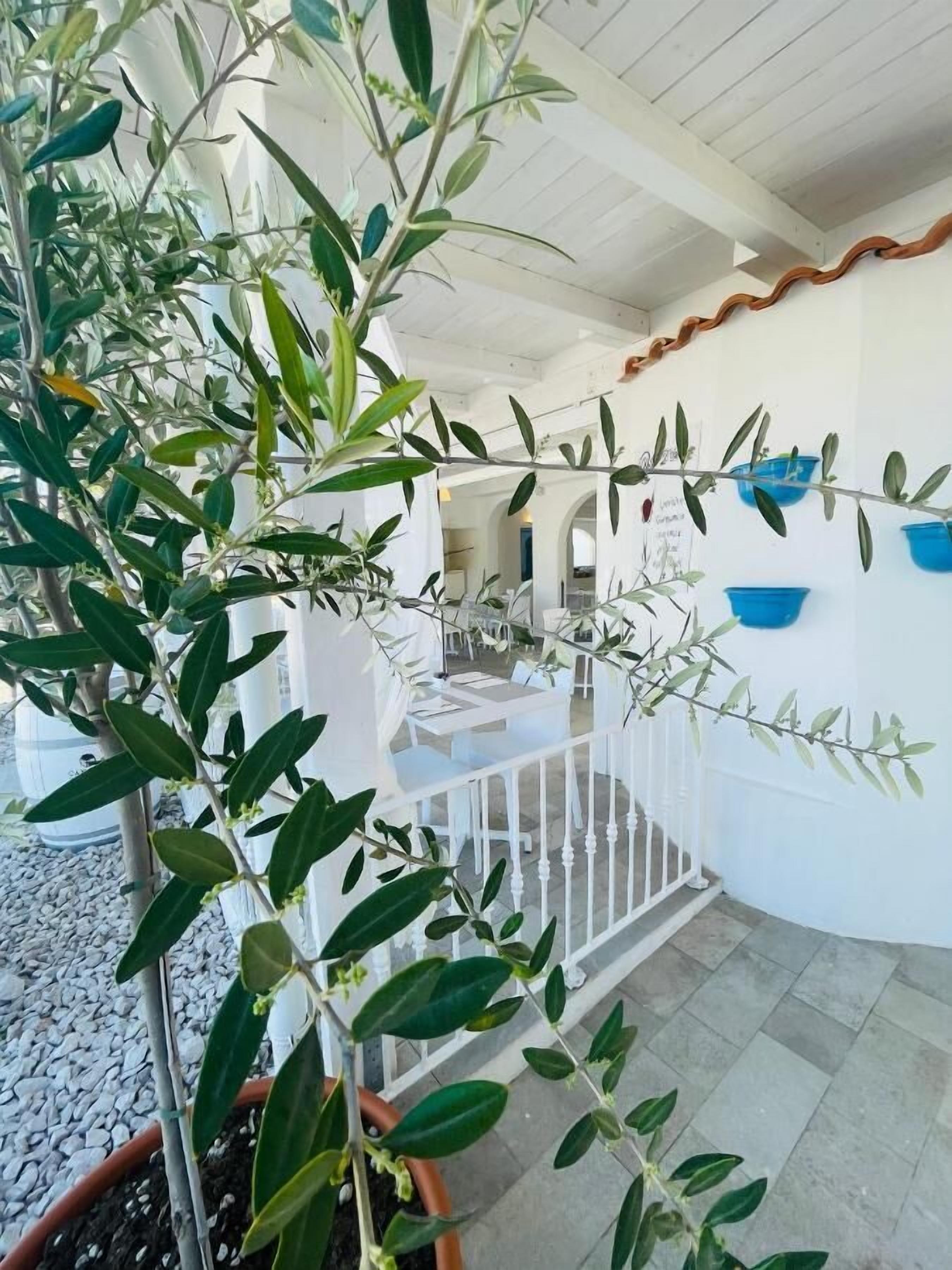 A modern interior with a white railing, potted plants, and a seating area with tables and chairs.