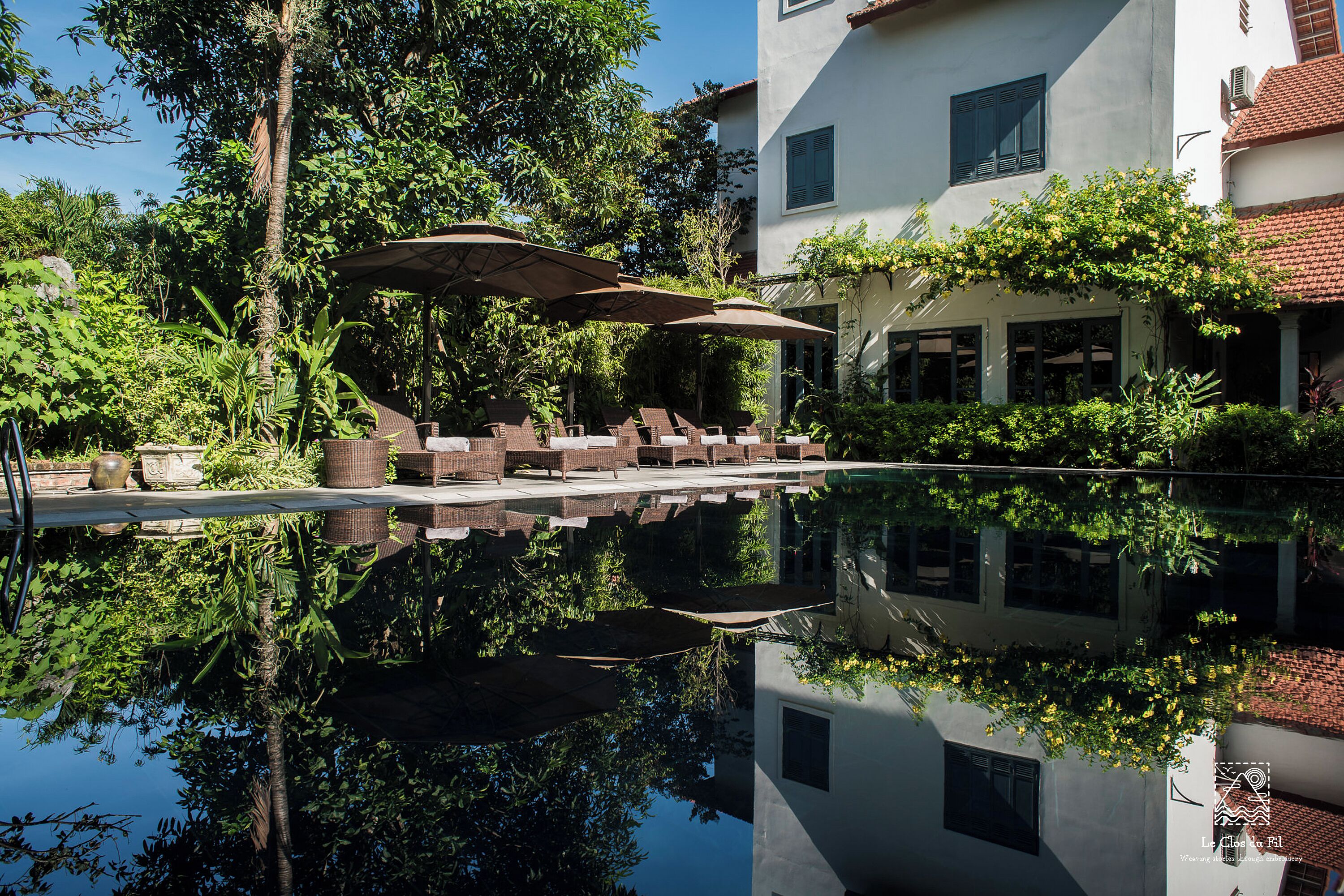 季節限定屋外プール、プール パラソル、サンラウンジャー