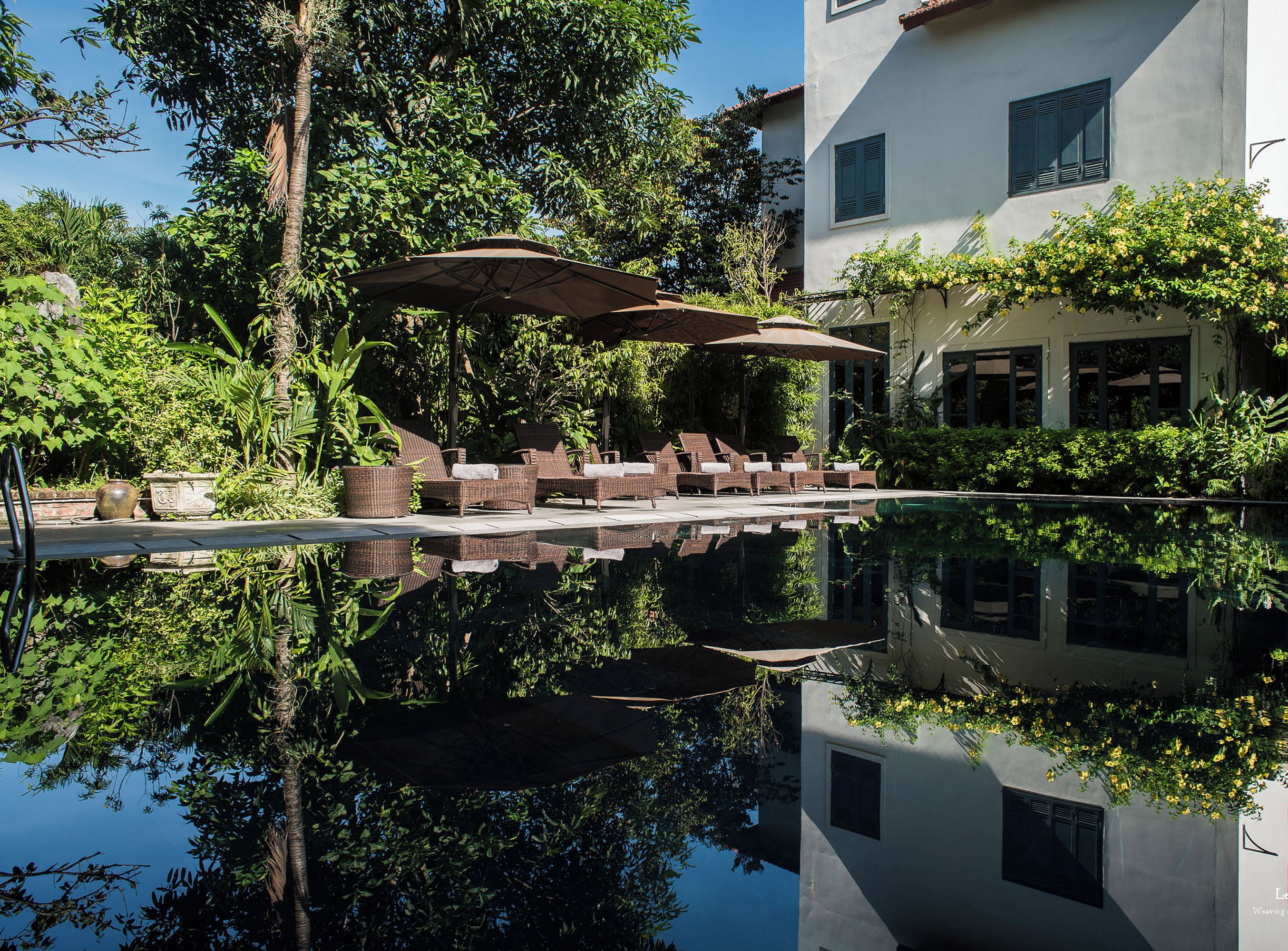 Uma área de piscina tranquila com espreguiçadeiras e guarda-sóis, rodeada por vegetação exuberante e um edifício branco com telhado em azulejos.