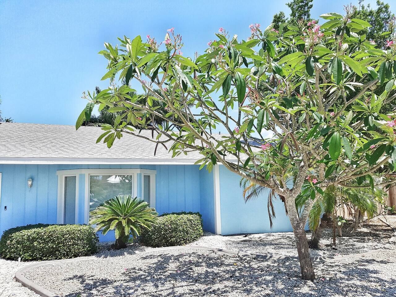 Une maison de plain-pied à l’extérieur bleu, avec un petit jardin devant, un arbre et un palmier, et un ciel dégagé.