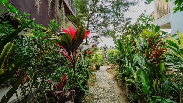 Un étroit sentier bordé d’une végétation tropicale luxuriante mène à un bâtiment de style traditionnel, doté d’un toit en tuiles et surmonté, au loin, d’une petite structure ressemblant à une pagode.