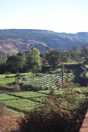 Mountain view - Dream Valley Resort (Mahabaleshwar)