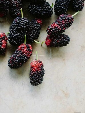 Breakfast meal - Dream Valley Resort (Mahabaleshwar)