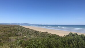 Una spiaggia con cielo sereno, costa sabbiosa e vegetazione verde.