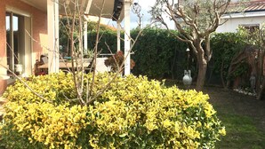 Ein Garten mit Terrass, einem Baum und einer Hecke.