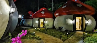 Mushrooms Inn