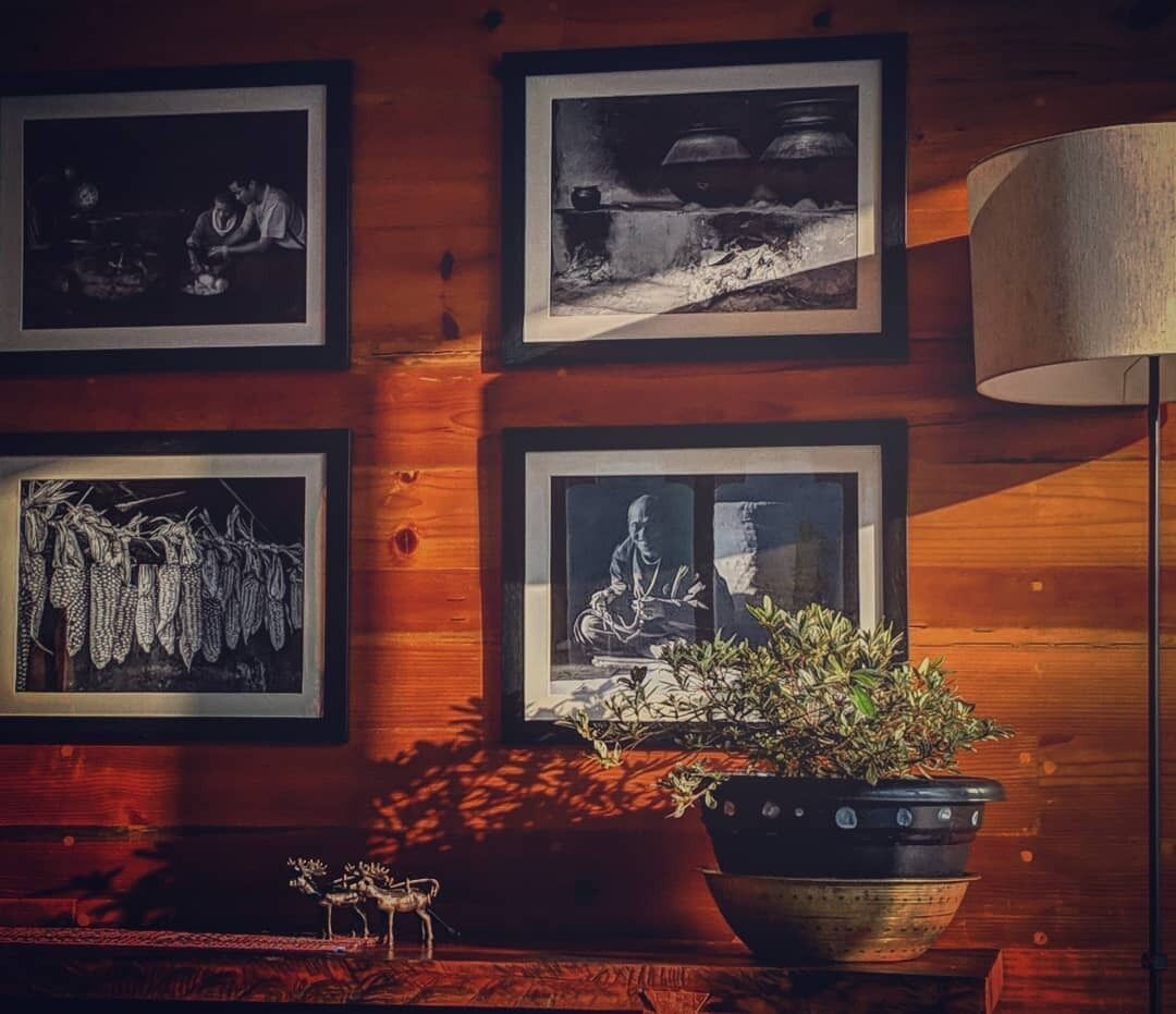 A wooden wall with framed black-and-white photographs, a potted plant, and a lamp.
