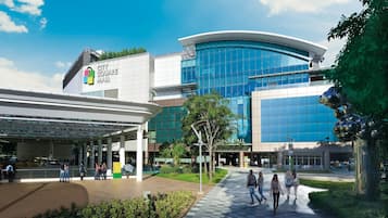 Shopping mall