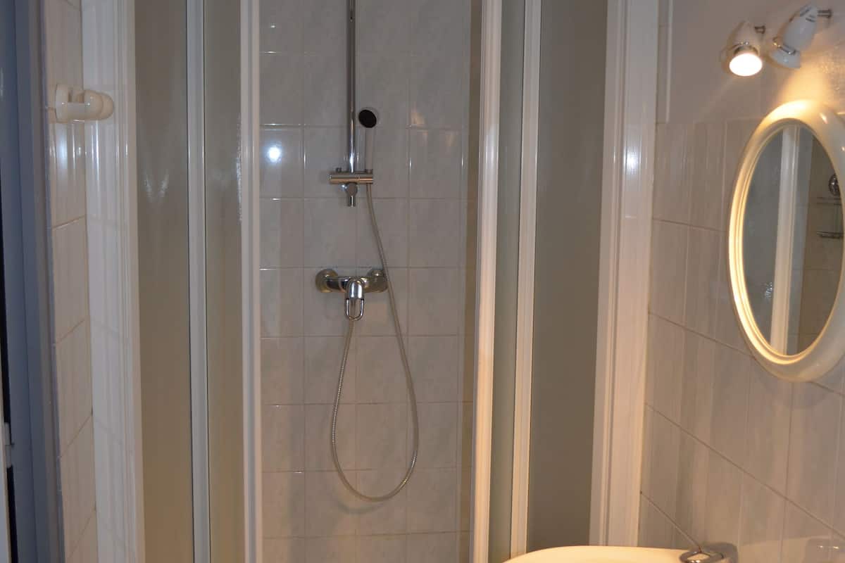 shower, free toiletries, hair dryer, towels