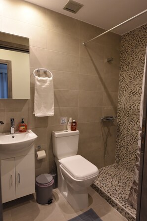 Ensemble douche/baignoire, sèche-cheveux, serviettes fournies, savon