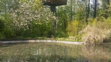 Ferienhütte, mit Bad, Flussblick (Cabane Au fil de l'eau)