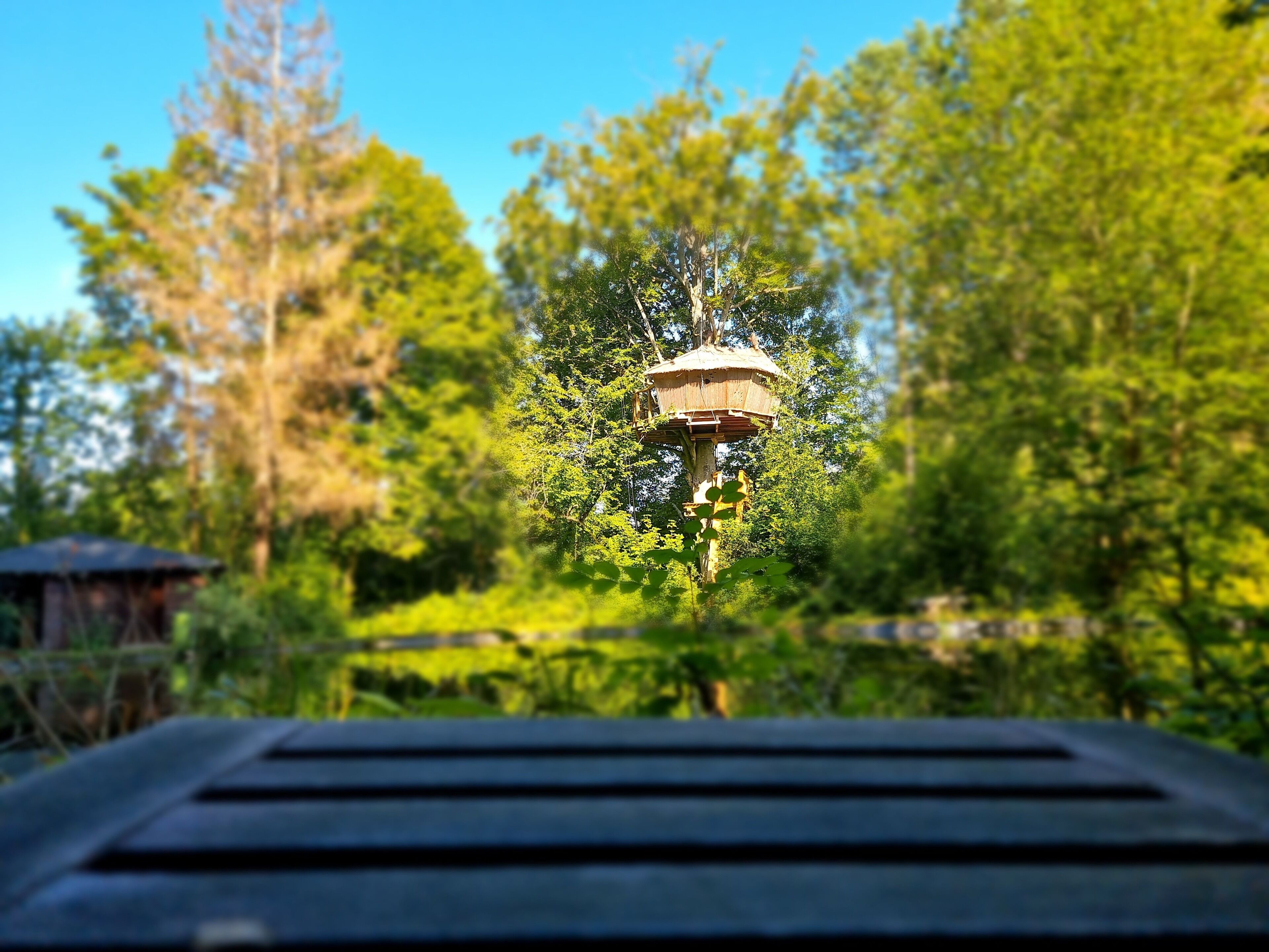 A birdhouse on a tree branch.