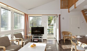 Apartamento, 1 habitación, sauna, entresuelo (47 m2) | Zona de estar | Una televisión de pantalla plana, una chimenea, un reproductor de DVD