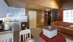 Flat-screen TV, fireplace, DVD player