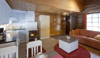 Flat-screen TV, fireplace, DVD player
