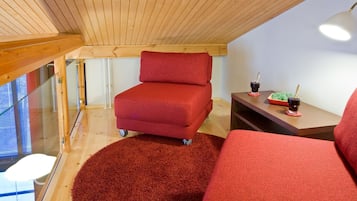 Flat-screen TV, fireplace, DVD player