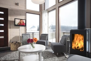 Apartamento, sauna, entresuelo (55.5 m2) | Sala de estar | Una televisión de pantalla plana, una chimenea, un reproductor de DVD