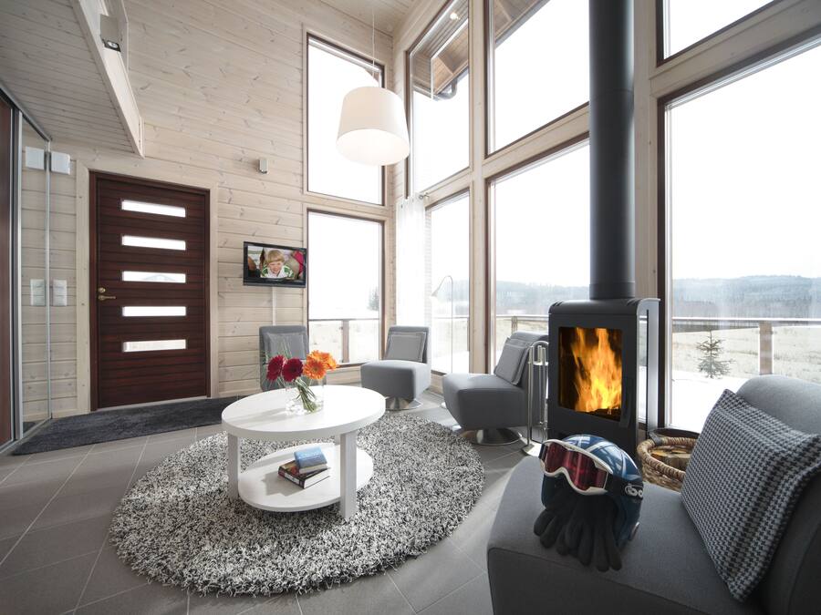 Apartment, Sauna, Mezzanine (55.5 m2) | Living room | Flat-screen TV, fireplace, DVD player