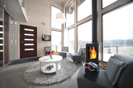 Apartment, Sauna, Mezzanine (55.5 m2) | Living room | Flat-screen TV, fireplace, DVD player
