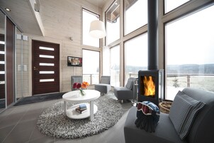 Televisión de pantalla plana, chimenea, reproductor de DVD